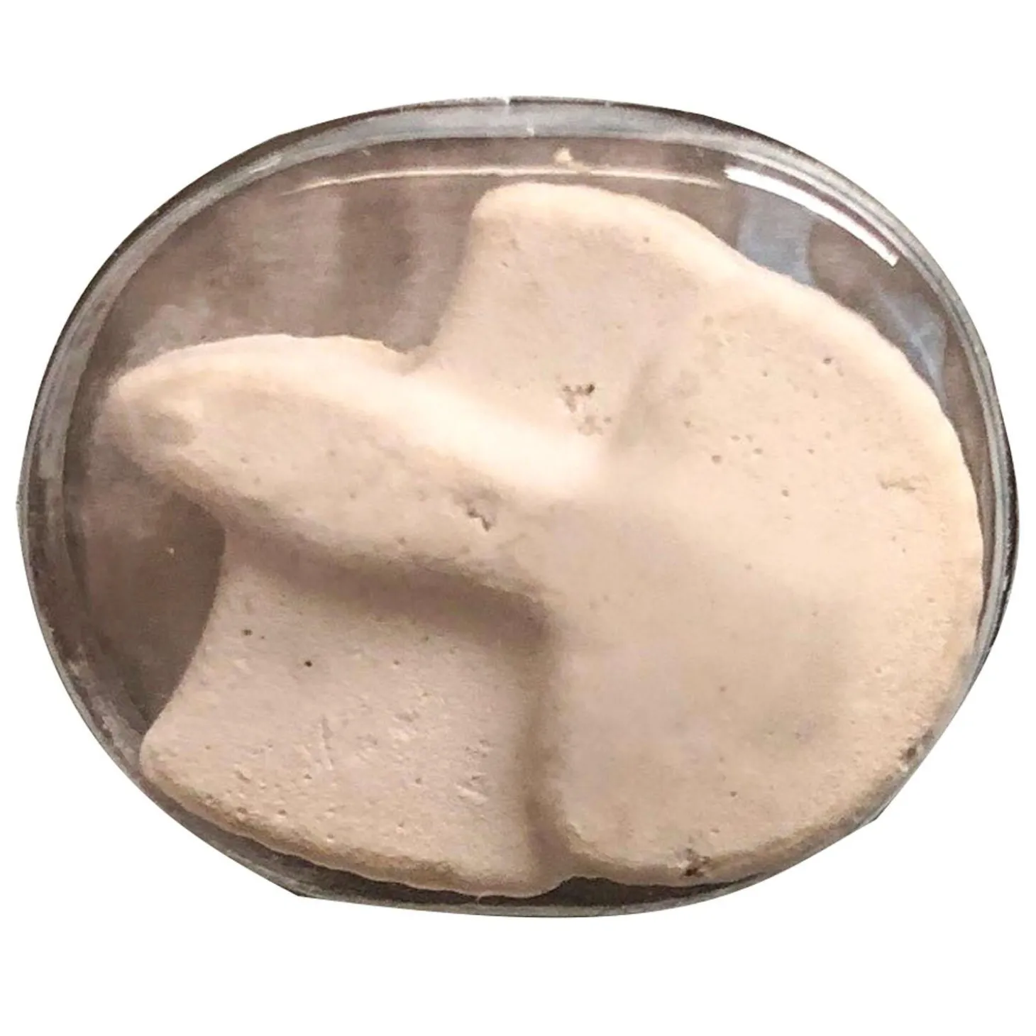 Betta Buffet Blocks Vacation Fish Food