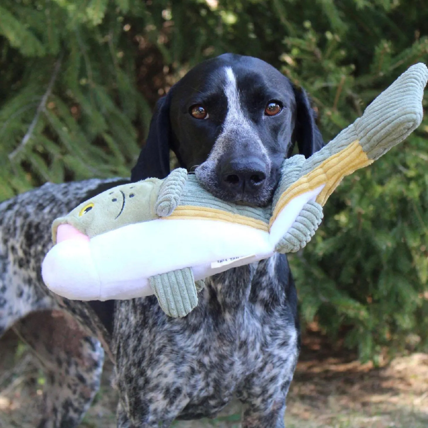 Big Fish Twitchy Tail Dog Toy