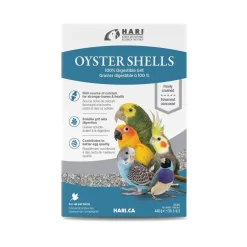 Bird Oyster Shell