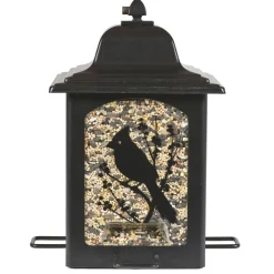 Birds & Berries Lantern Wild Bird Feeder