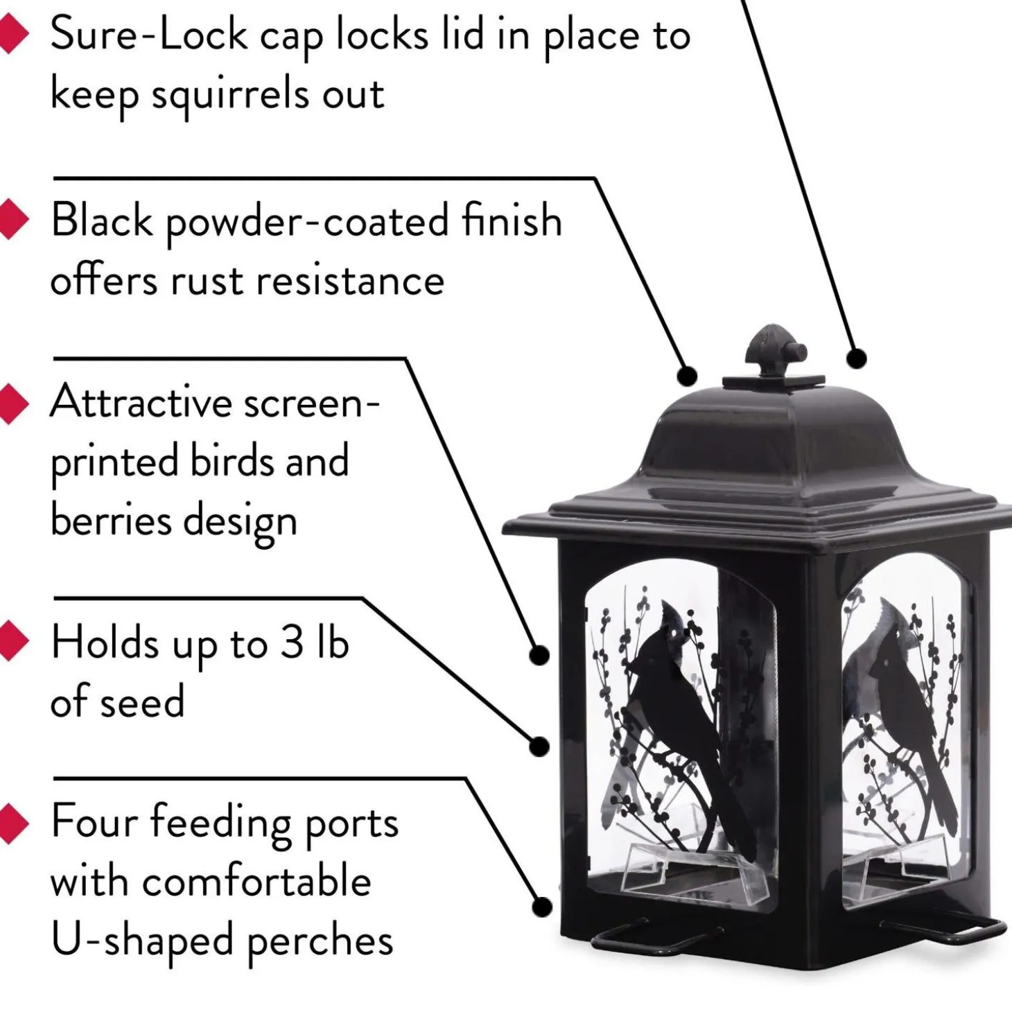 Birds & Berries Lantern Wild Bird Feeder