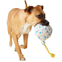 Birthday Balloon Dog Toy