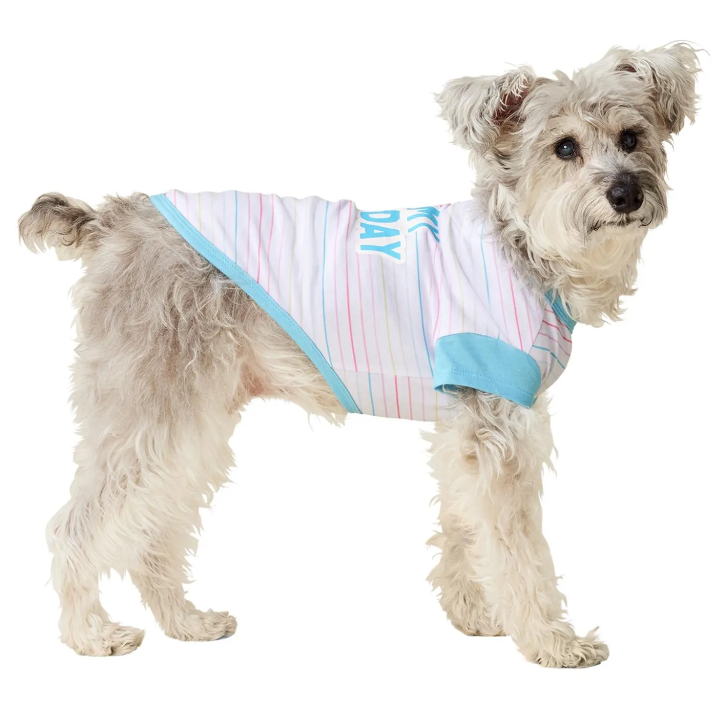 Birthday Blue T-Shirt