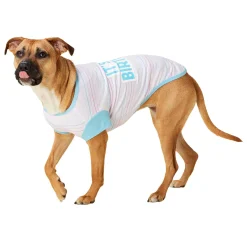 Birthday Blue T-Shirt