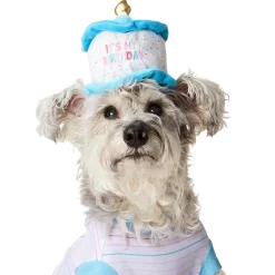 Birthday Blue T-Shirt