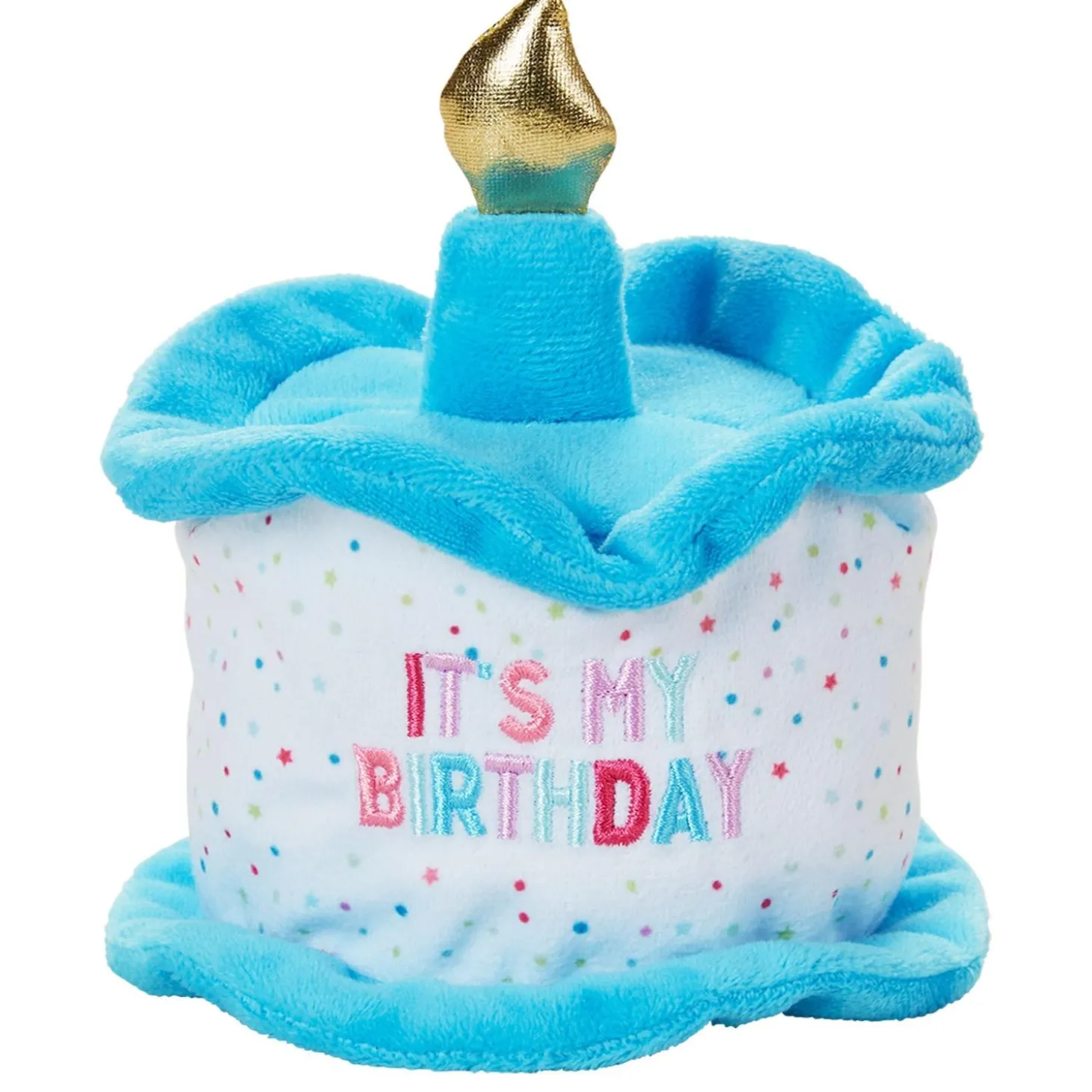 Birthday Cake Hat