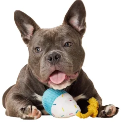 Birthday Cupcake Dog Toy