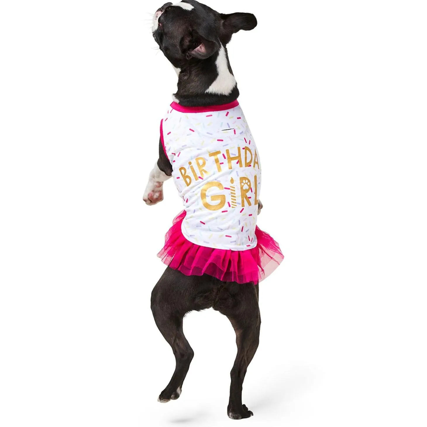 Birthday Girl Tank with Tutu