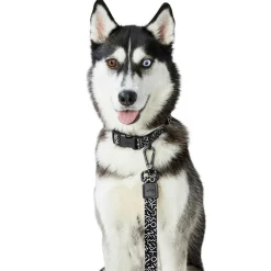 Black & White Dog Leash