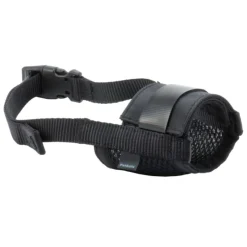 Black Dog Muzzle