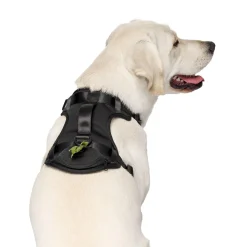 Black Neoprene Dog Harness