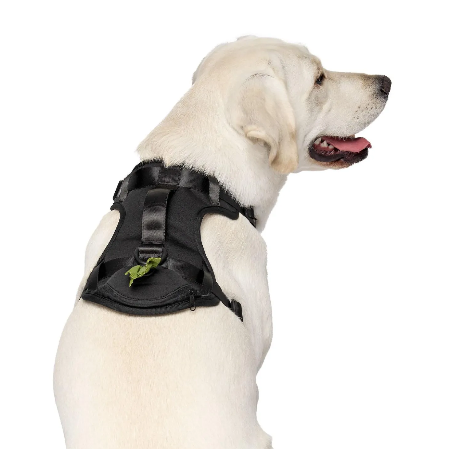 Black Neoprene Dog Harness