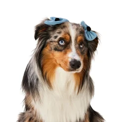 Blue Bow Hairclip Set