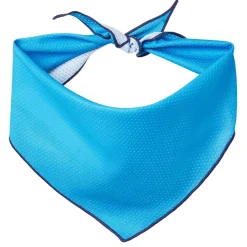 Blue Cooling Bandana