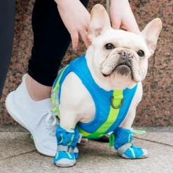 Blue Hot Pavement Boots