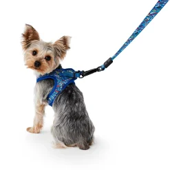 Blue Splatter Paint Dog Leash