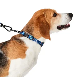 Blue Splatter Paint Dog Leash