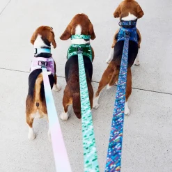 Blue Splatter Paint Dog Leash