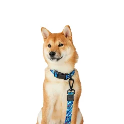 Blue Splatter Paint Dog Leash