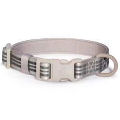 Bone Reflective Cushion Neoprene Padded Dog Collar