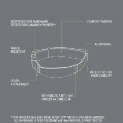 Bone Reflective Cushion Neoprene Padded Dog Collar