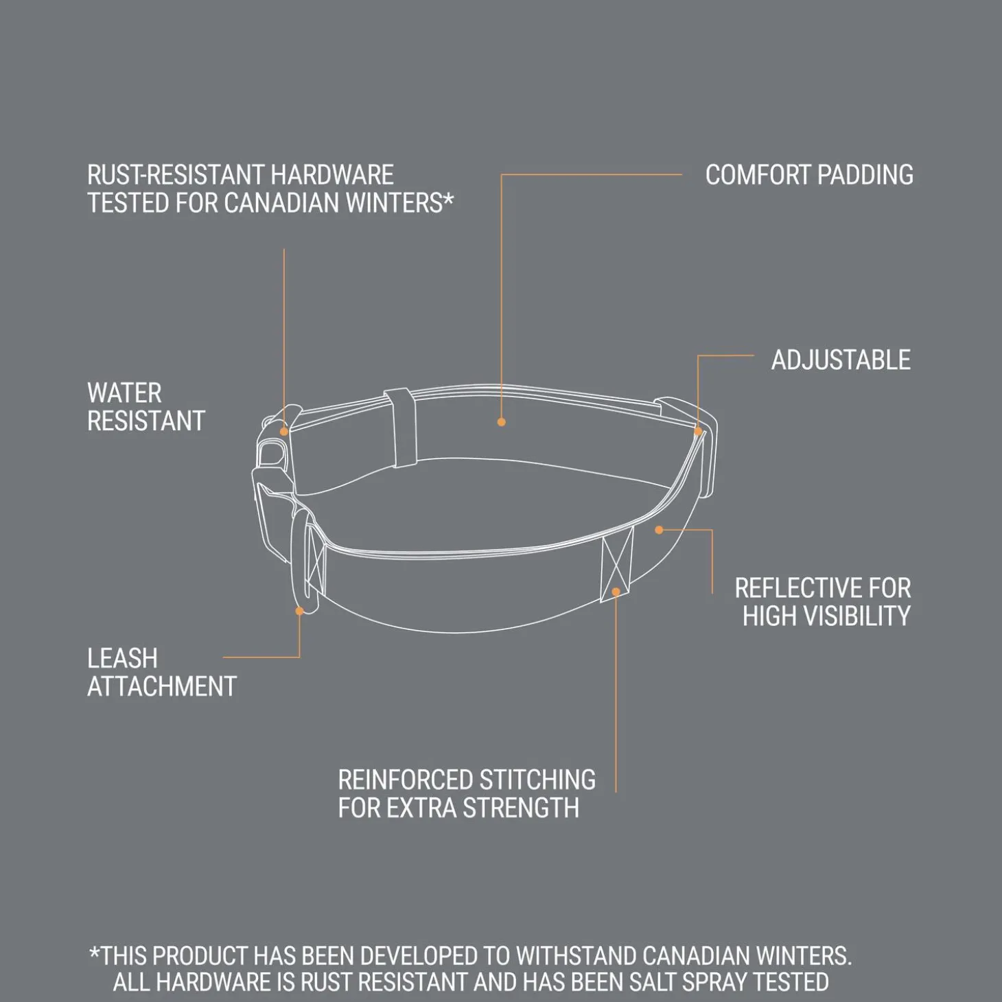 Bone Reflective Cushion Neoprene Padded Dog Collar