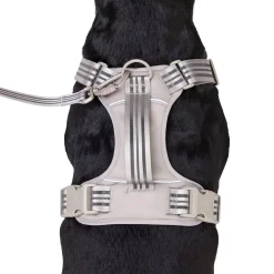 Bone Reflective Cushion Neoprene Padded Dog Harness