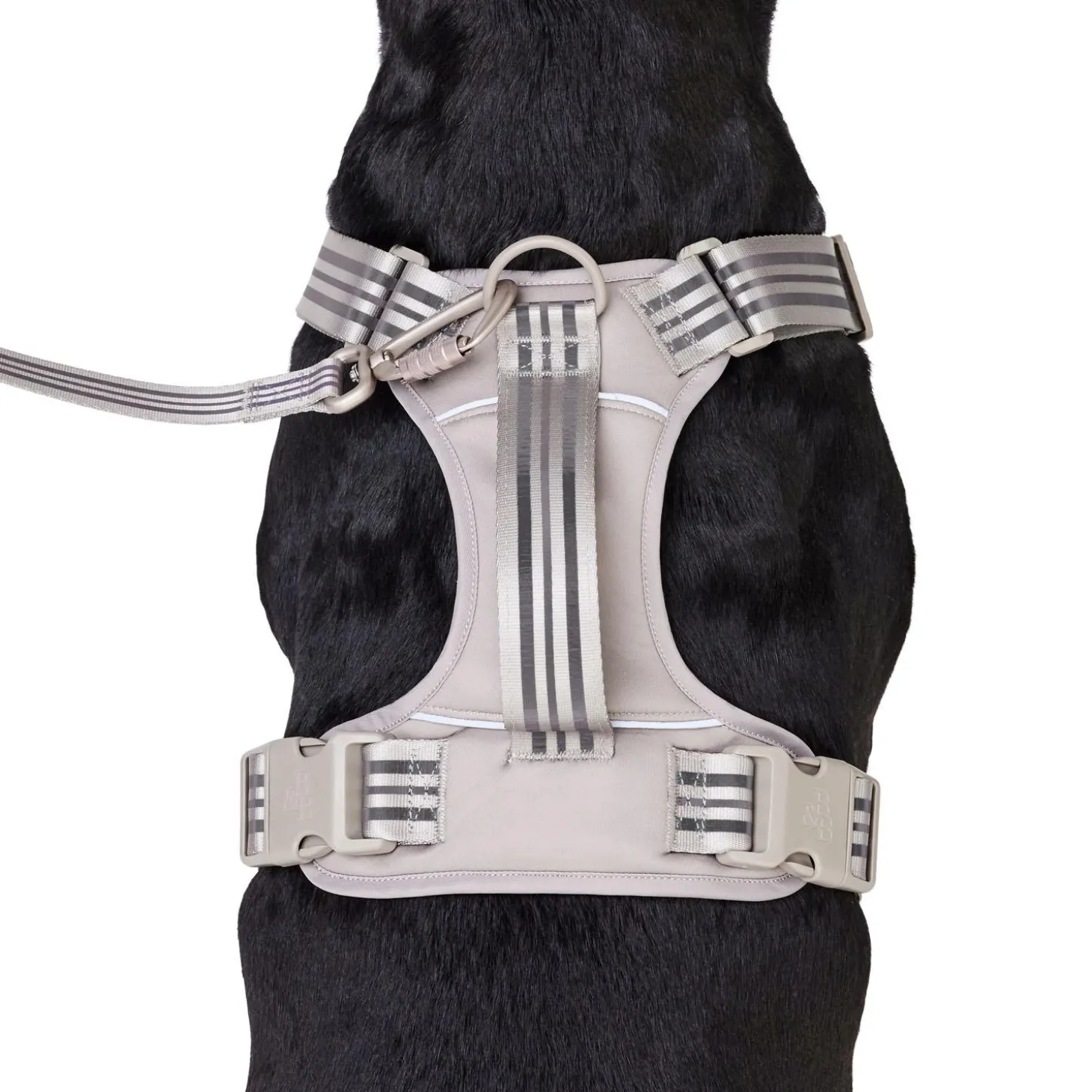 Bone Reflective Cushion Neoprene Padded Dog Harness