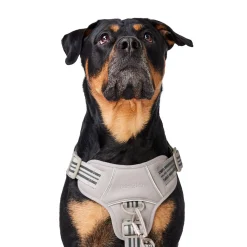 Bone Reflective Cushion Neoprene Padded Dog Harness