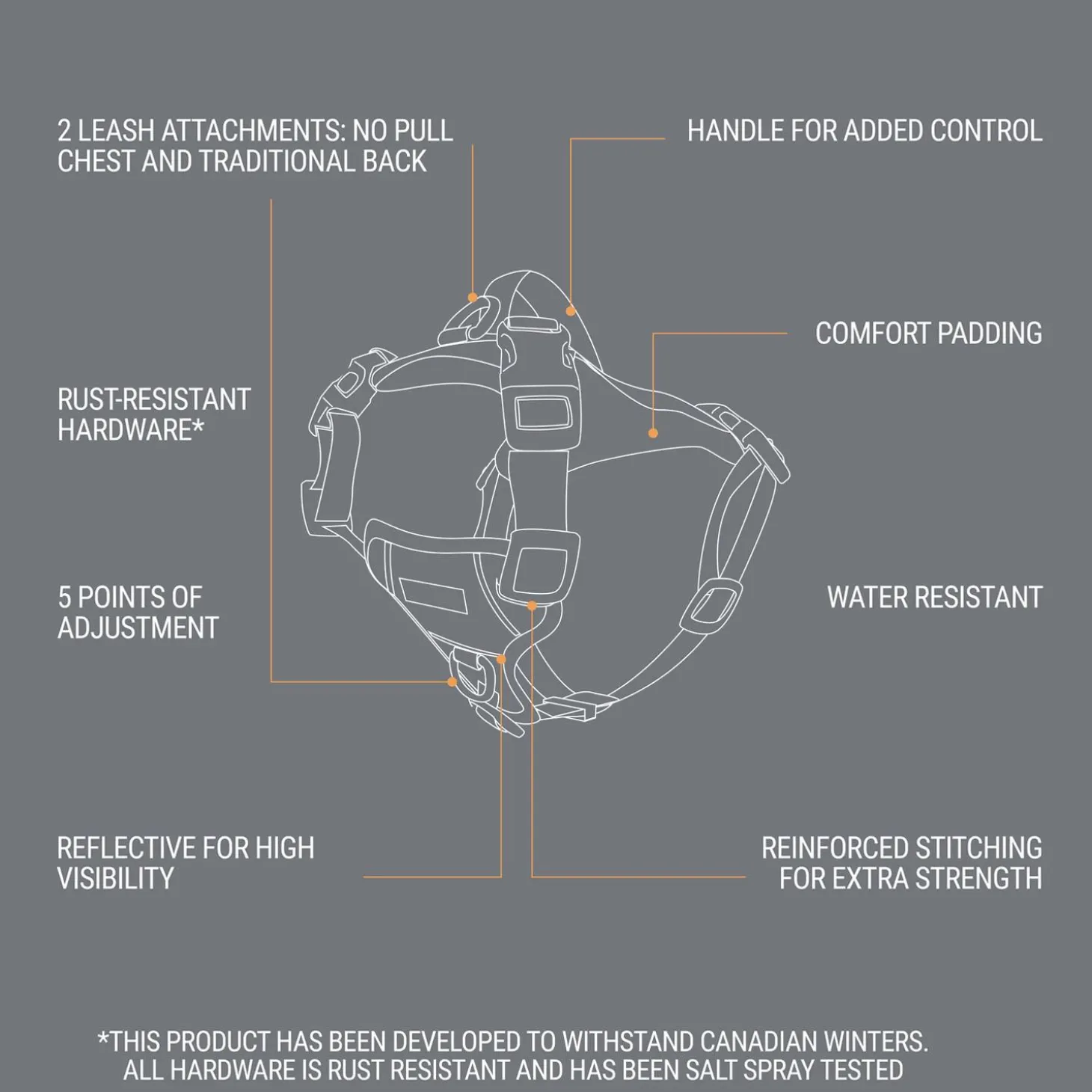 Bone Reflective Cushion Neoprene Padded Dog Harness