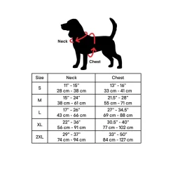 Bone Reflective Cushion Neoprene Padded Dog Harness