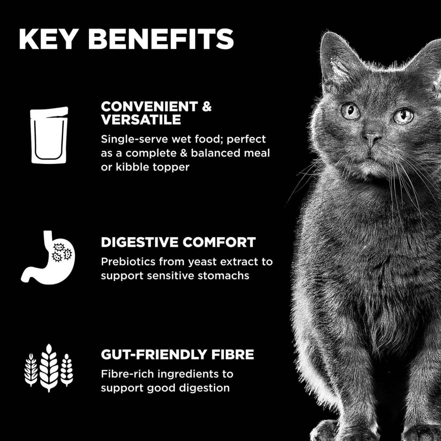 Booster Digestive Health Tuna + Salmon Pate Cat Food Topper
