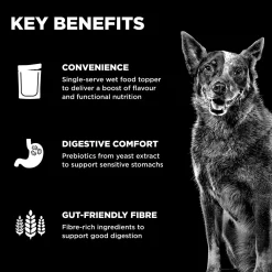 Booster Digestive Health Chicken + Lamb Stew Dog Food Topper