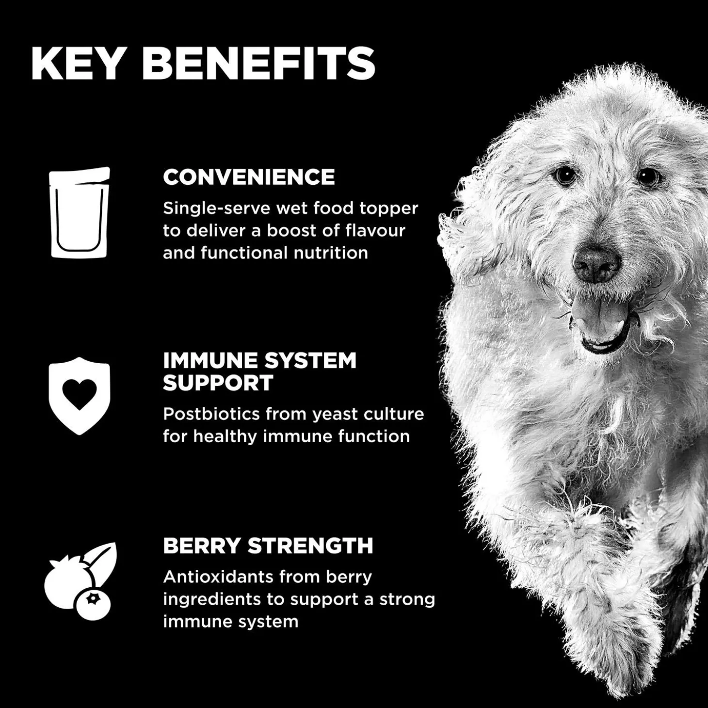 Booster Immune Health Minced Chicken Recipe With Gravy Dog Food Topper