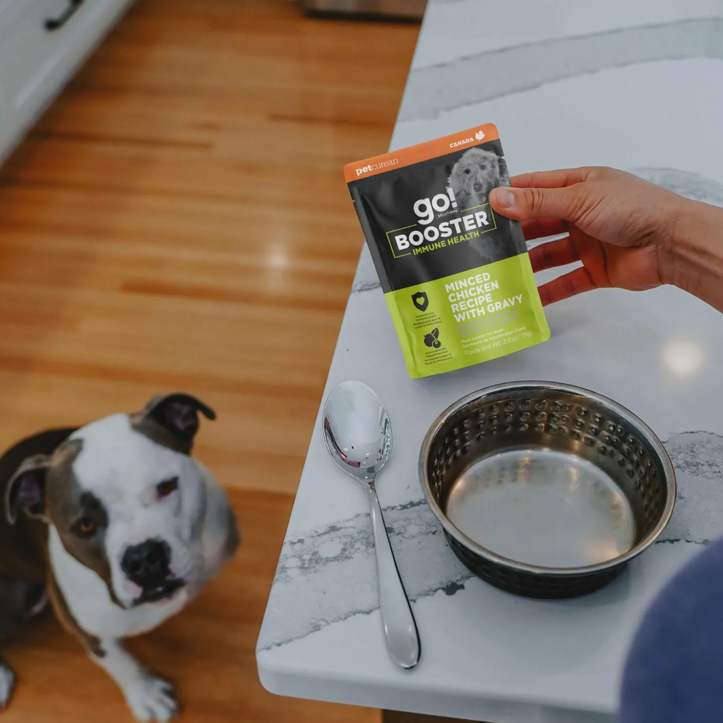 Booster Immune Health Minced Chicken Recipe With Gravy Dog Food Topper