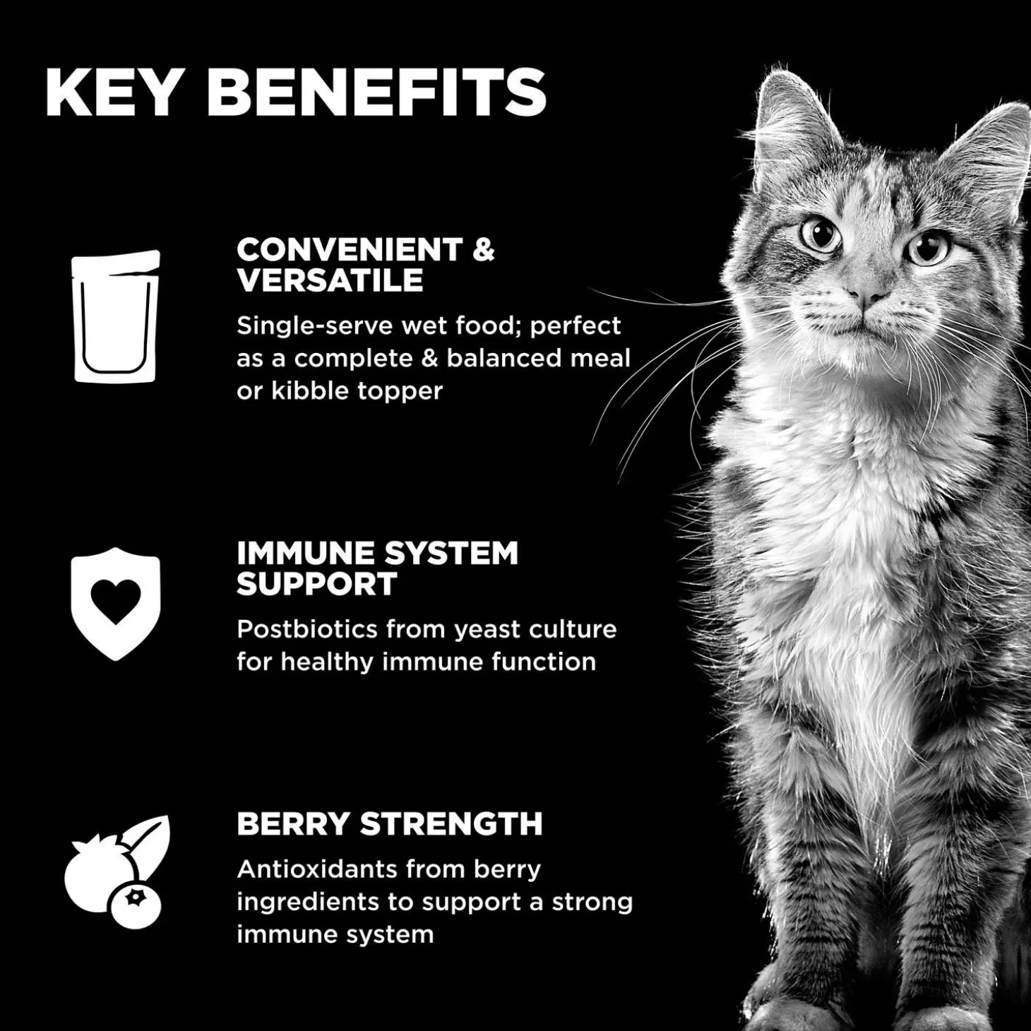 Booster Immune Health Minced Chicken + Salmon Recipe With Gravy Cat Food Topper