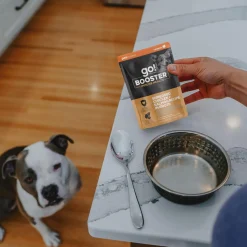 Booster Immune Health Shredded Chicken + Salmon Recipe in Broth Dog Food Topper