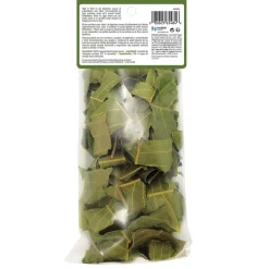 Botanicals Dried Mango Leaf Small Animal Treats