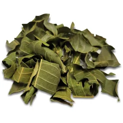 Botanicals Dried Mango Leaf Small Animal Treats