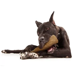 Bottle Tough Chew Dog Toy