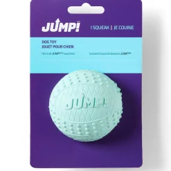 Bounce Ball Blue Dog Toy