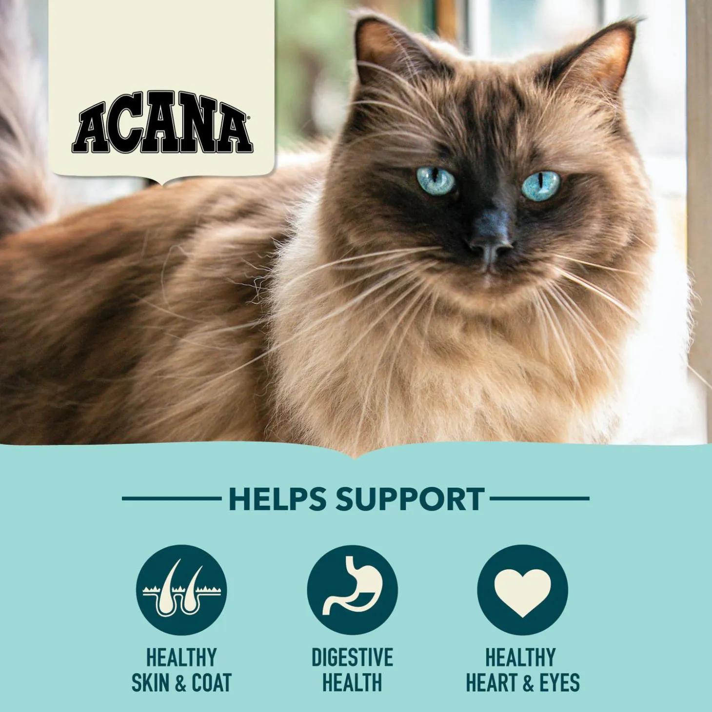 Bountiful Catch Cat Food