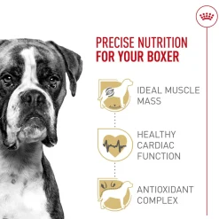 Breed Health Nutrition Boxer Adult Dog Food