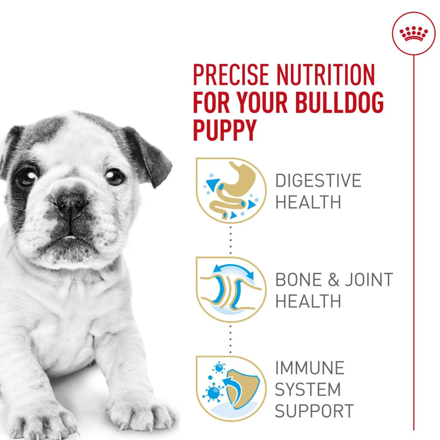 Breed Health Nutrition Bulldog Puppy Dog Food