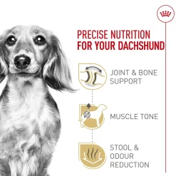 Breed Health Nutrition Dachshund Adult Dog Food