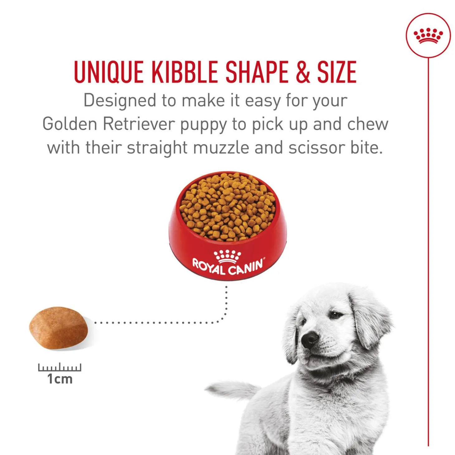 Breed Health Nutrition Golden Retriever Puppy Dog Food