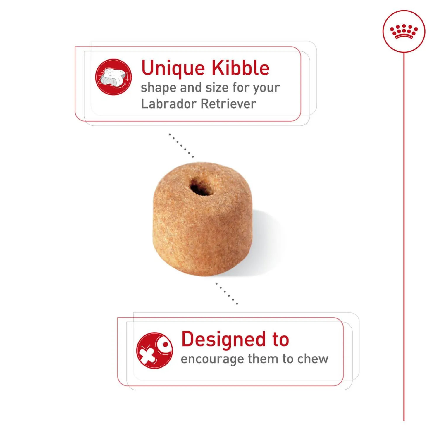 Breed Health Nutrition Labrador Retriever Adult Dog Food