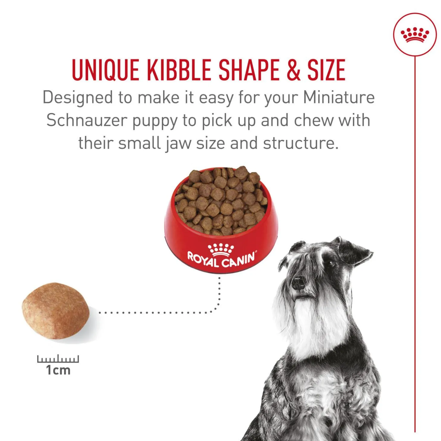 Breed Health Nutrition Miniature Schnauzer Adult Dog Food