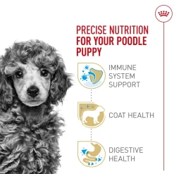 Breed Health Nutrition Poodle Puppy Dog Food
