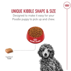 Breed Health Nutrition Poodle Puppy Dog Food